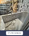 instasave.website_745698479_17951906850197989_760499018599143993_n.webp