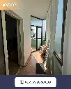 SaveClip.App_510962401_17903753457197989_3598265548616756539_n.webp