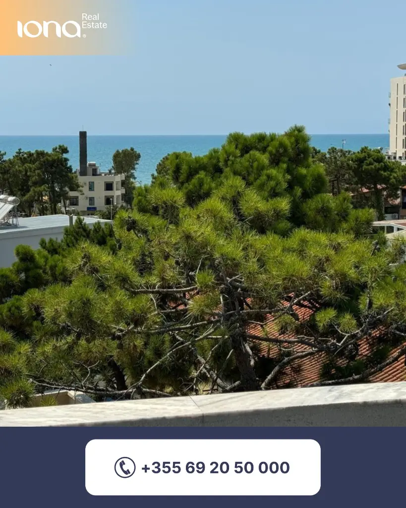 11.webp