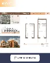 15.webp