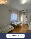 6.webp